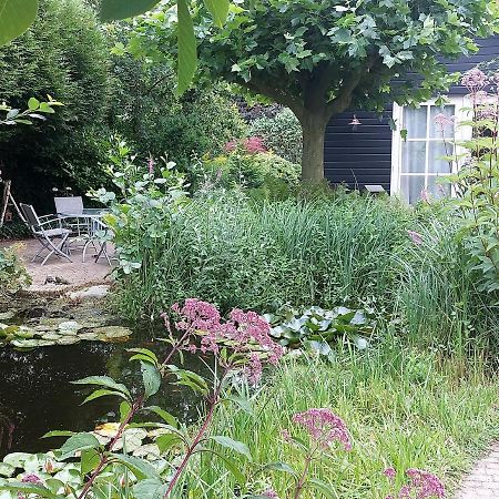 Vakantiehuisje Achter Odiliapeel Exteriör bild