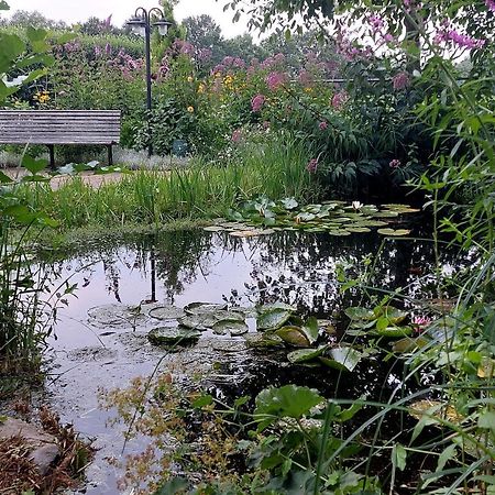Vakantiehuisje Achter Odiliapeel Exteriör bild
