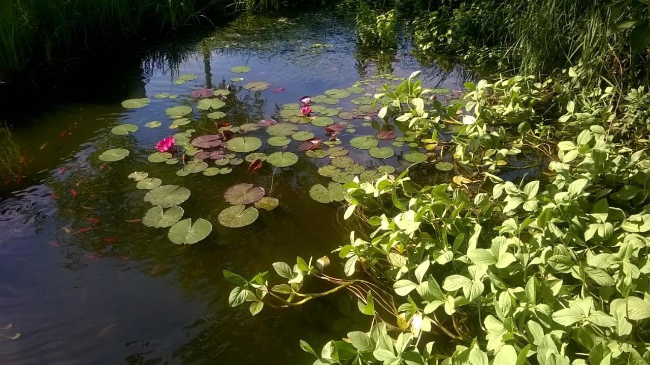Vakantiehuisje Achter Odiliapeel Exteriör bild