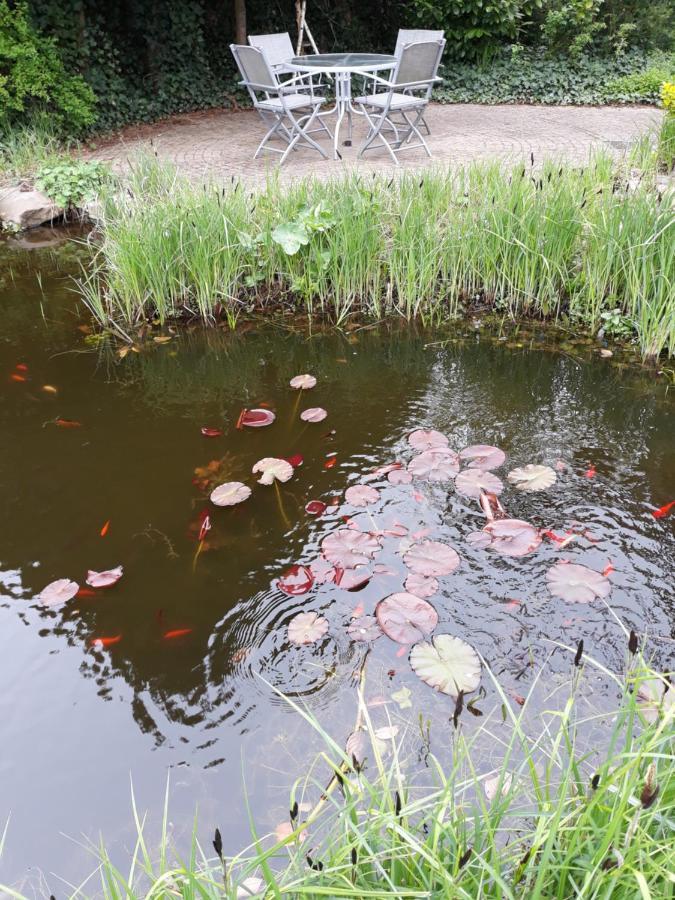 Vakantiehuisje Achter Odiliapeel Exteriör bild