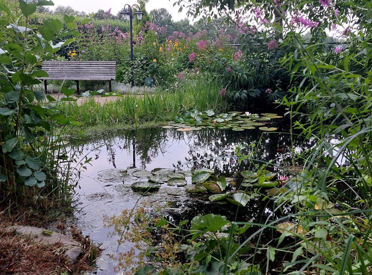 Vakantiehuisje Achter Odiliapeel Exteriör bild